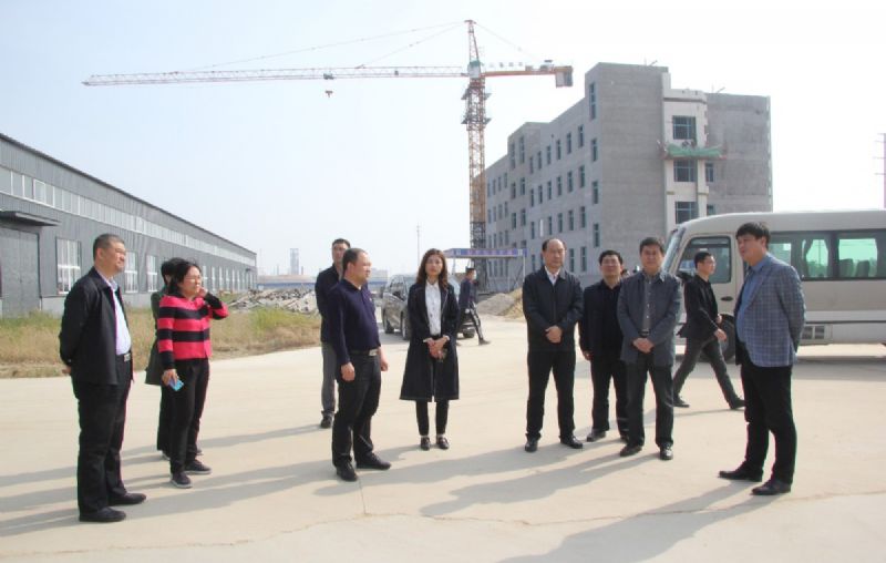 濰坊市重點項目督導組到龍港新材料公司督導重點項目建設(shè)推進情況