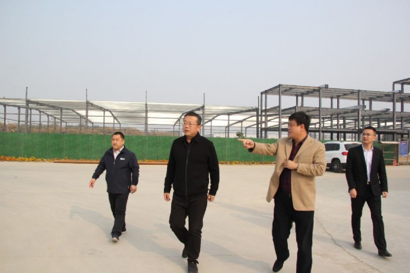 市委常委、市政府副市長劉煜到龍港汽車城調(diào)研